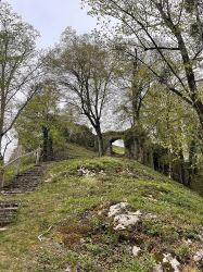 Erlebnispadagogische Tage Losenstein 1a   2024 04 03 05   32